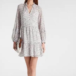 Animal Print Trapeze Tiered Dress